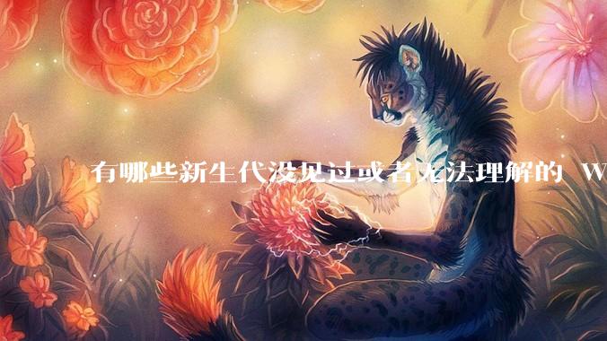 有哪些新生代没见过或者无法理解的 Windows XP 7 时代的事情？