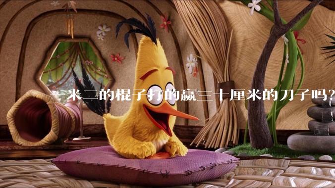 一米二的棍子打的赢三十厘米的刀子吗？
