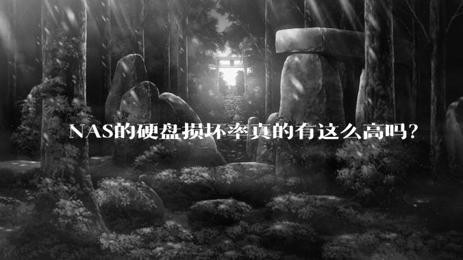 NAS的硬盘损坏率真的有这么高吗？