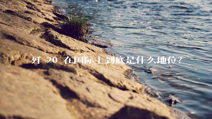 歼-20 在国际上到底是什么地位？